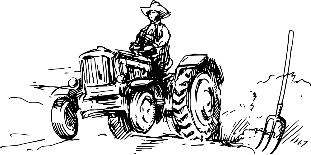 Renefat